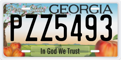 GA license plate PZZ5493
