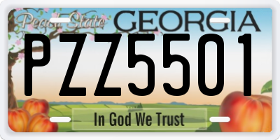 GA license plate PZZ5501