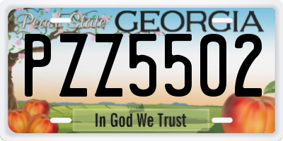 GA license plate PZZ5502