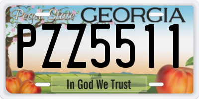 GA license plate PZZ5511