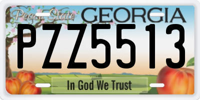 GA license plate PZZ5513