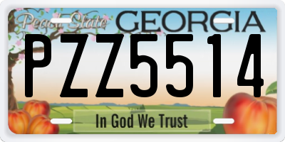 GA license plate PZZ5514