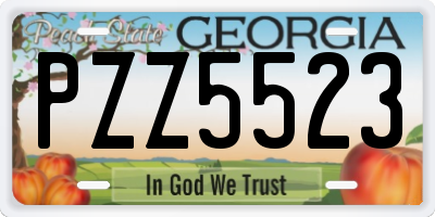 GA license plate PZZ5523