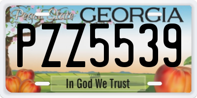 GA license plate PZZ5539