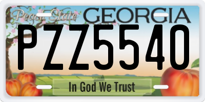 GA license plate PZZ5540