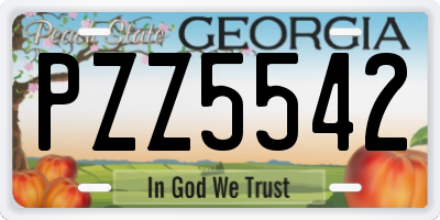 GA license plate PZZ5542