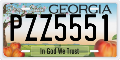 GA license plate PZZ5551