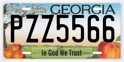 GA license plate PZZ5566
