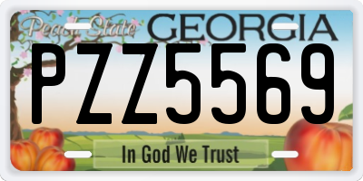 GA license plate PZZ5569