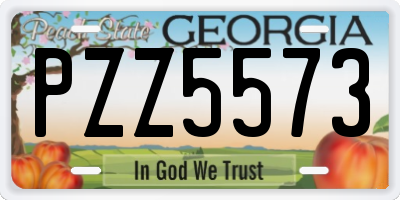 GA license plate PZZ5573