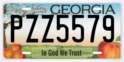 GA license plate PZZ5579