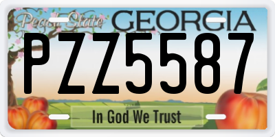 GA license plate PZZ5587