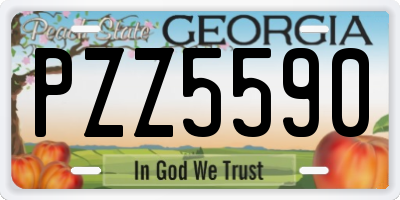 GA license plate PZZ5590