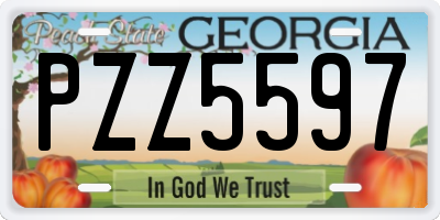 GA license plate PZZ5597