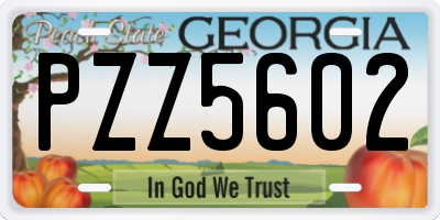 GA license plate PZZ5602