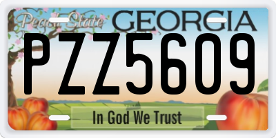 GA license plate PZZ5609