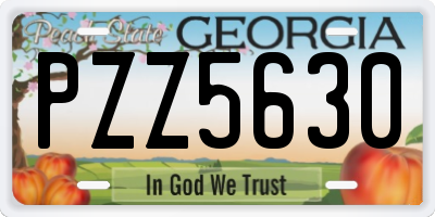 GA license plate PZZ5630