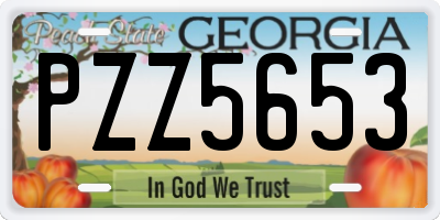 GA license plate PZZ5653