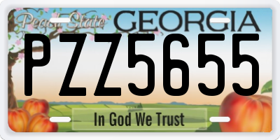 GA license plate PZZ5655