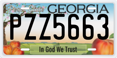 GA license plate PZZ5663