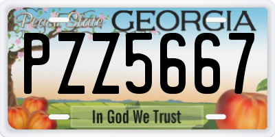 GA license plate PZZ5667
