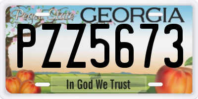 GA license plate PZZ5673