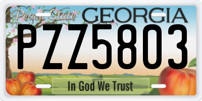 GA license plate PZZ5803