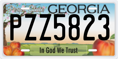 GA license plate PZZ5823