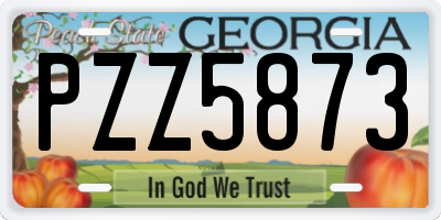 GA license plate PZZ5873