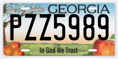 GA license plate PZZ5989