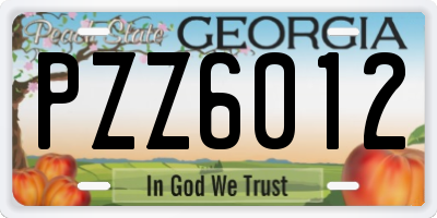 GA license plate PZZ6012