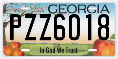 GA license plate PZZ6018