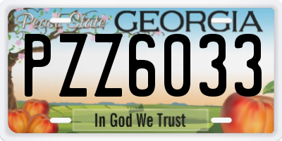 GA license plate PZZ6033