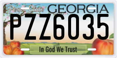 GA license plate PZZ6035