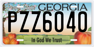 GA license plate PZZ6040
