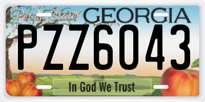 GA license plate PZZ6043