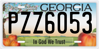 GA license plate PZZ6053