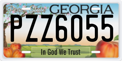 GA license plate PZZ6055