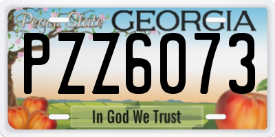 GA license plate PZZ6073