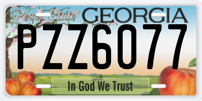 GA license plate PZZ6077