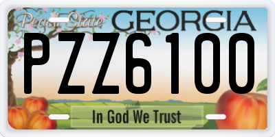 GA license plate PZZ6100