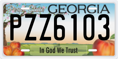 GA license plate PZZ6103