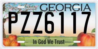 GA license plate PZZ6117