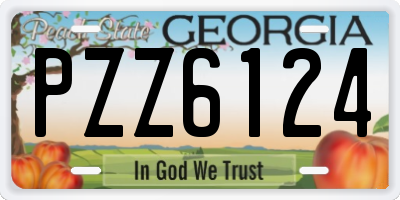 GA license plate PZZ6124