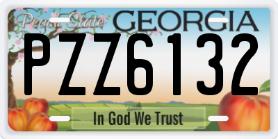 GA license plate PZZ6132