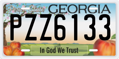 GA license plate PZZ6133