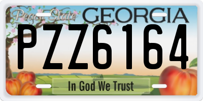 GA license plate PZZ6164