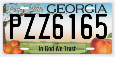 GA license plate PZZ6165