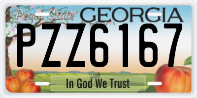 GA license plate PZZ6167