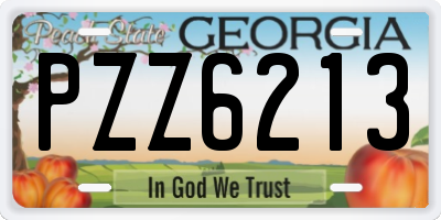 GA license plate PZZ6213